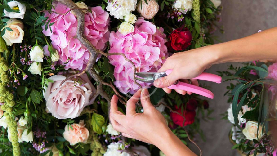 A Life of a Flower: Florist’s Diary