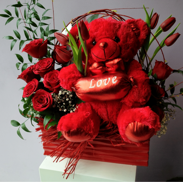 RED TEDDY