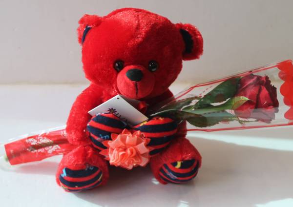 Red Stuffed Bear